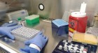哥伦比亚准备进行每日17,000次冠状病毒测试