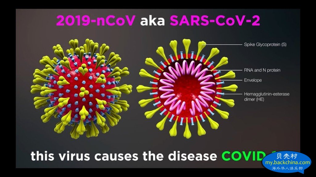 COVID19病毒来源的各种“谣言”版本汇总