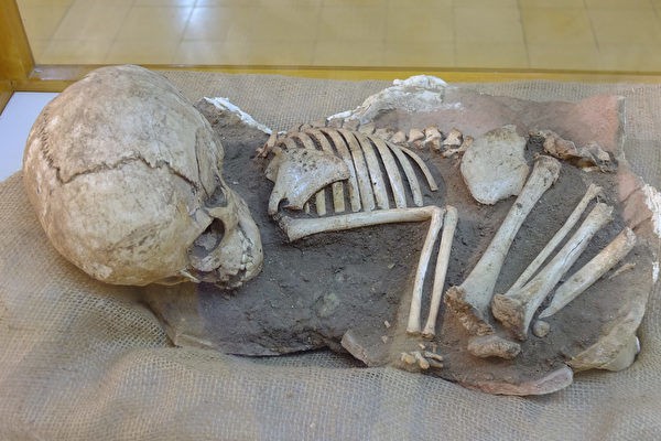 新發現25萬年前兒童頭骨 挑戰人類起源認知