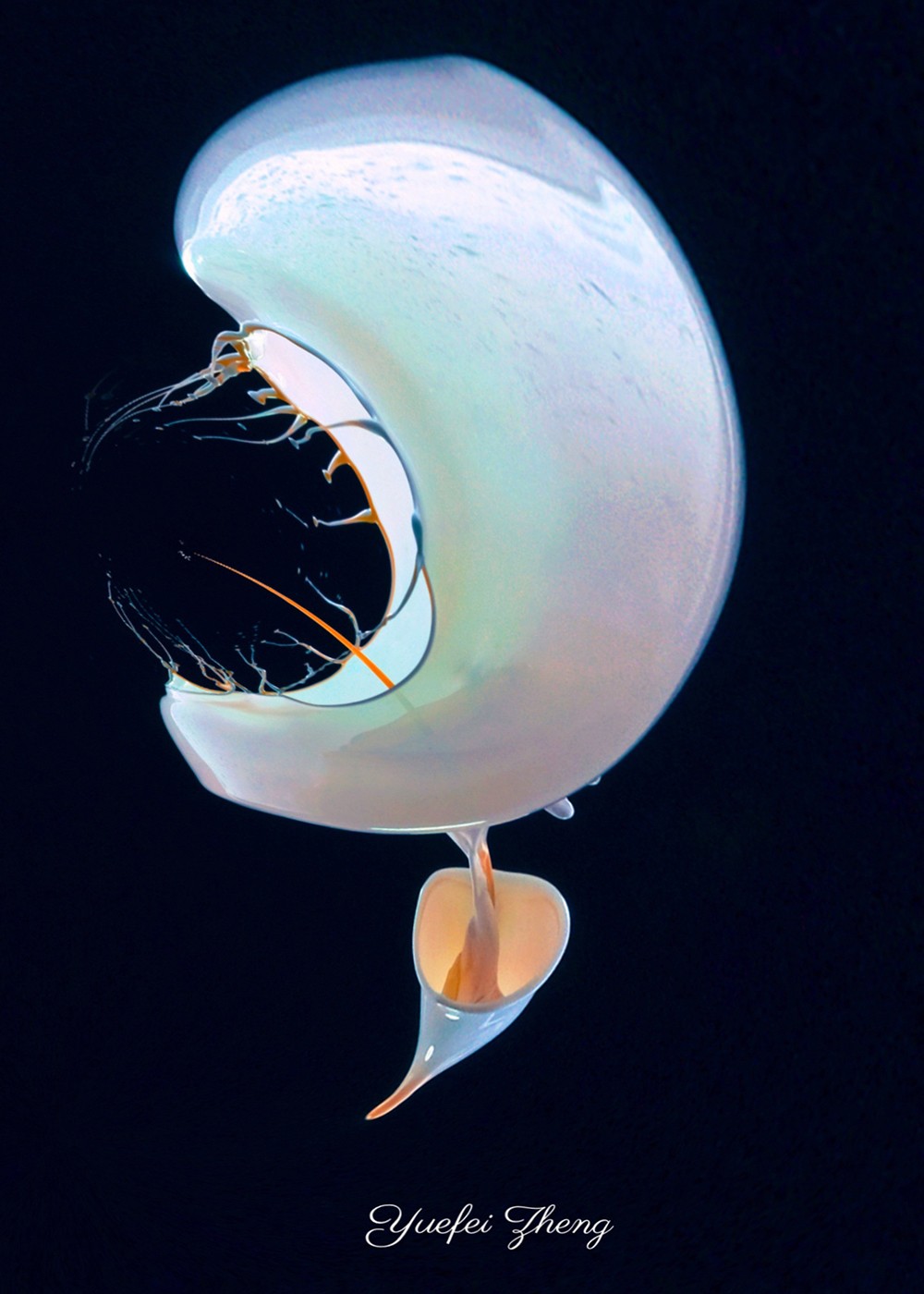 【相机人生】(515) 饥饿的鲨鱼，抽象水滴摄影