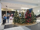 Travel Around Vancouver And Count Christmas Trees（图）