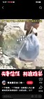 这个方法可以用于短程浮运任何东西，混滋傻们却硬扯夫妻生死