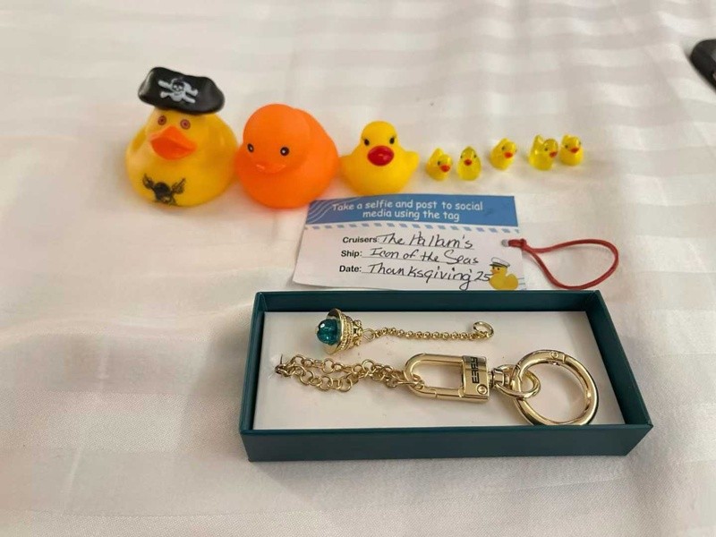 世界最大游轮亲测D2：皇家加勒比海洋标志号ICON OF THE SEAS