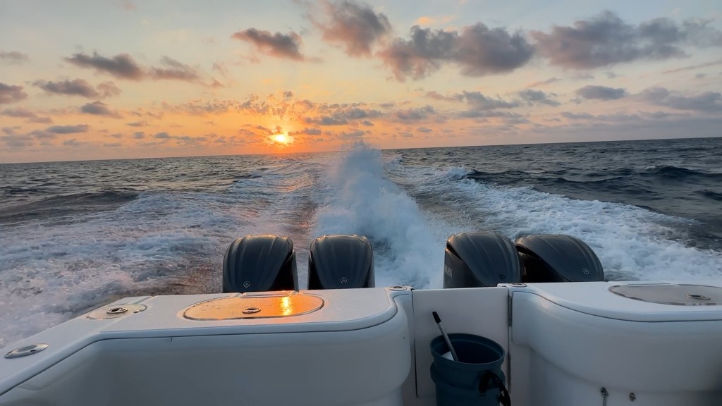 我的鱼被巨鲨撕开的瞬间 海钓现场彻底失控