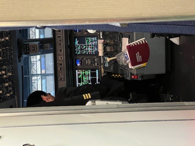 世界最大游轮亲测：船上的酒水，皇家加勒比海洋标志号ICON OF THE SEAS