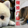 我的相册