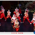 2011「文化中国、四海同春」解放军战士杂技团 25日费城献艺 (30P)
