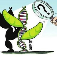 转基因方崔之争（二）转基因食物50种危害