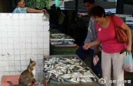 「老闆，魚怎麼賣？」 「不賣，自己吃的，拿出來顯擺一下！」.jpg