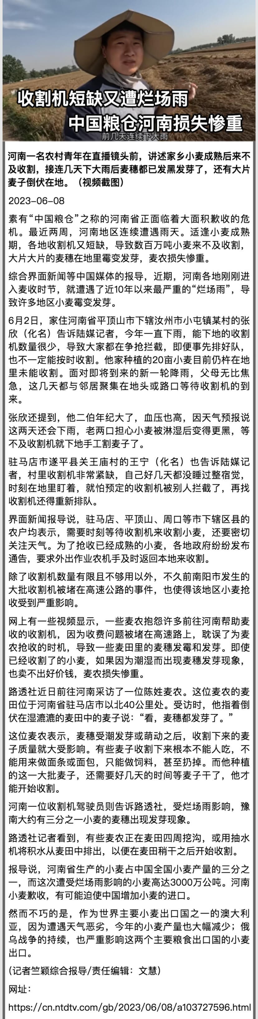 收割機短缺又遭爛場雨 中國糧倉河南損失慘重.jpeg